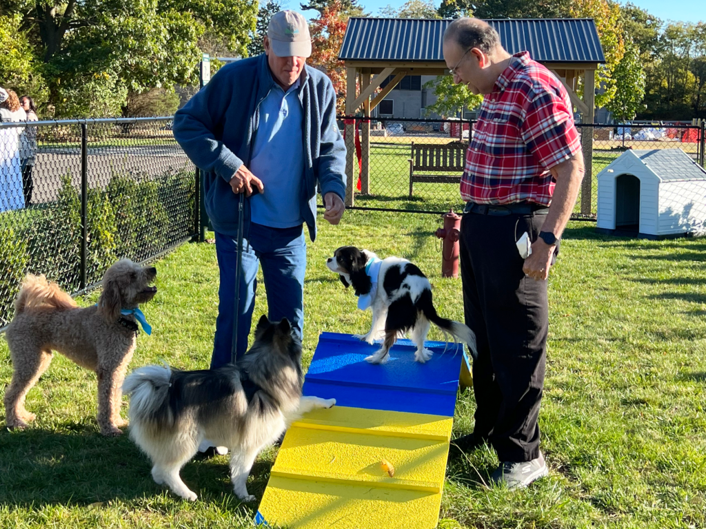 Fountaingate Gardens dog park creates a fun environment for our members and their fur babies.